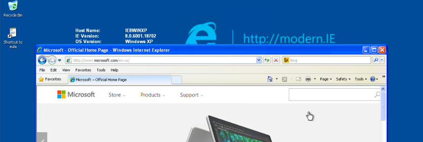 Screenshot of Internet Explorer 8 running on Windows XP